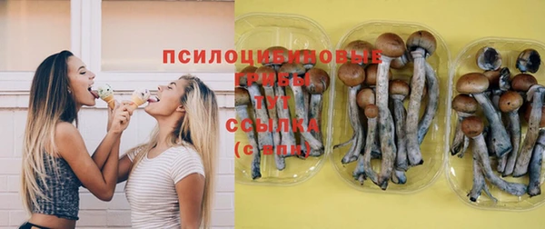 эйфоретик Аркадак