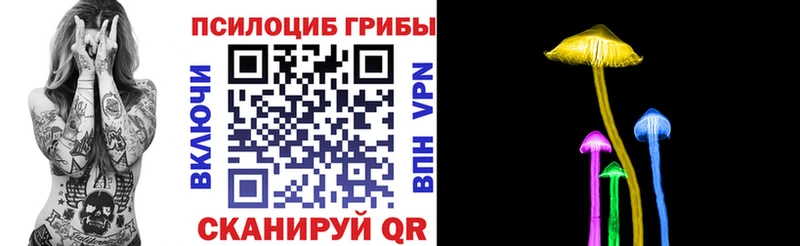 дарнет шоп  Шебекино  Псилоцибиновые грибы мицелий 
