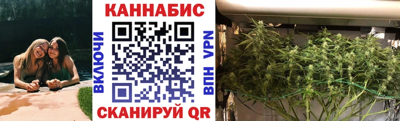 Канабис гибрид  Шебекино 